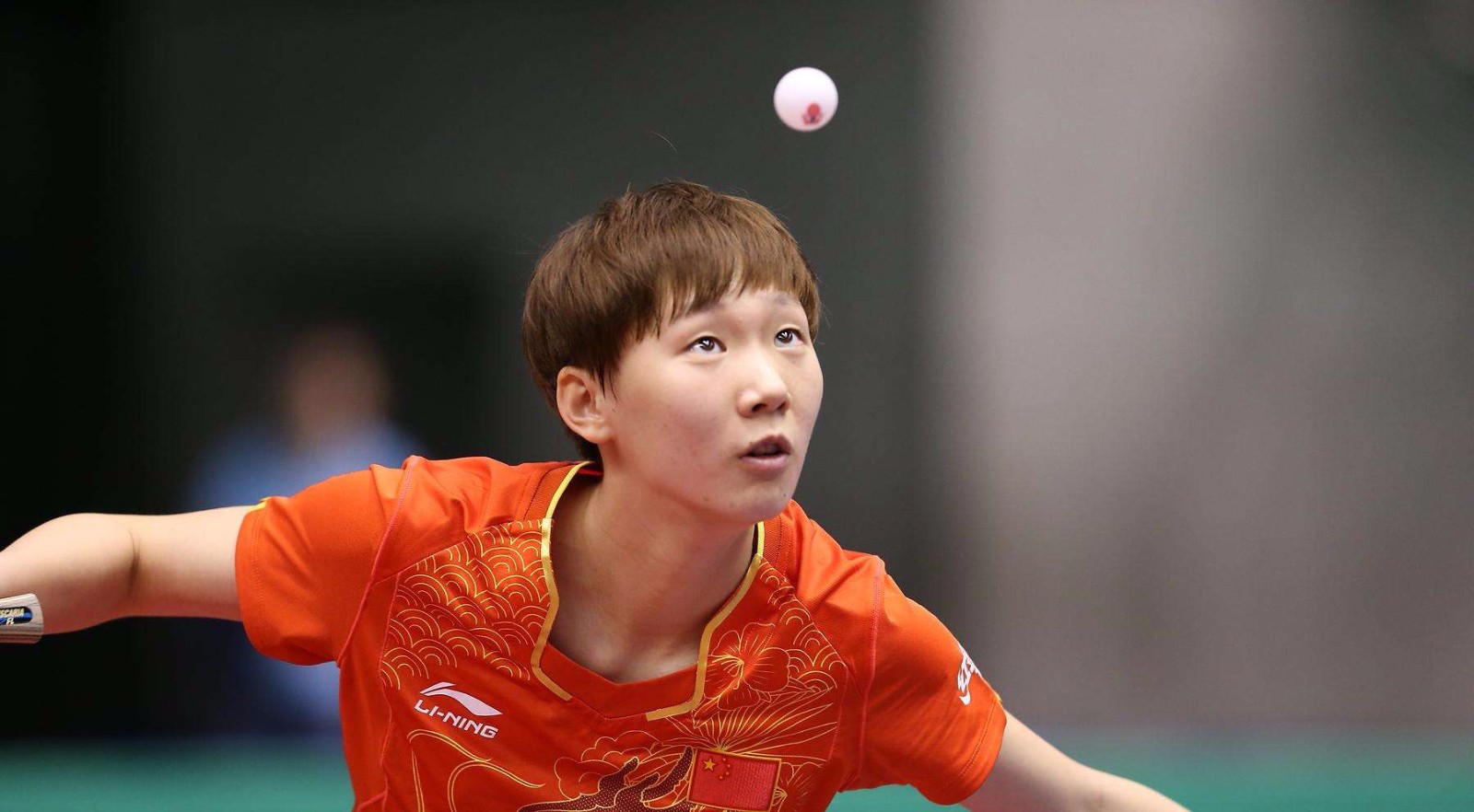 侵略性和预 侵略性和预