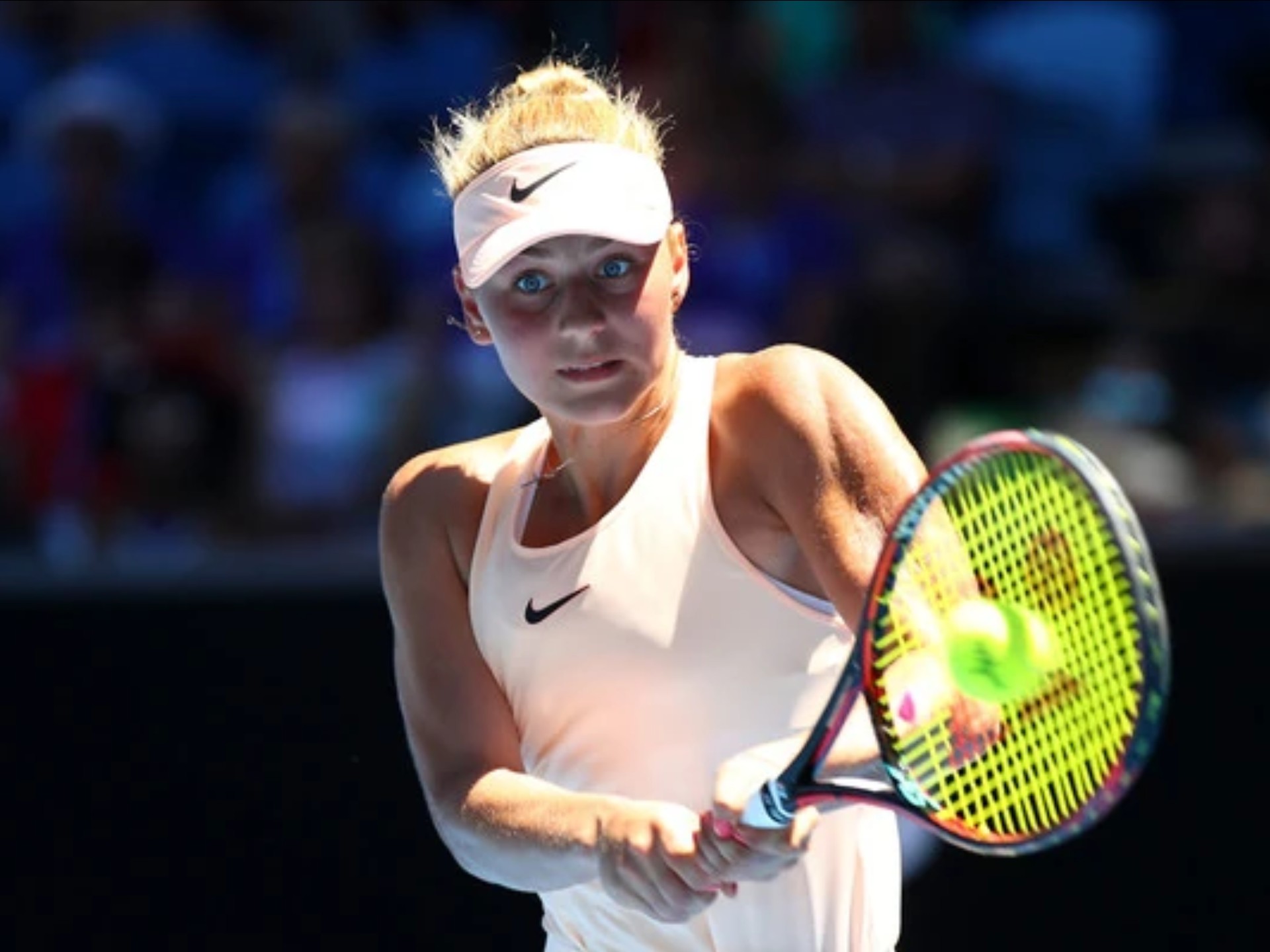 亚历山大的 亚历山大的