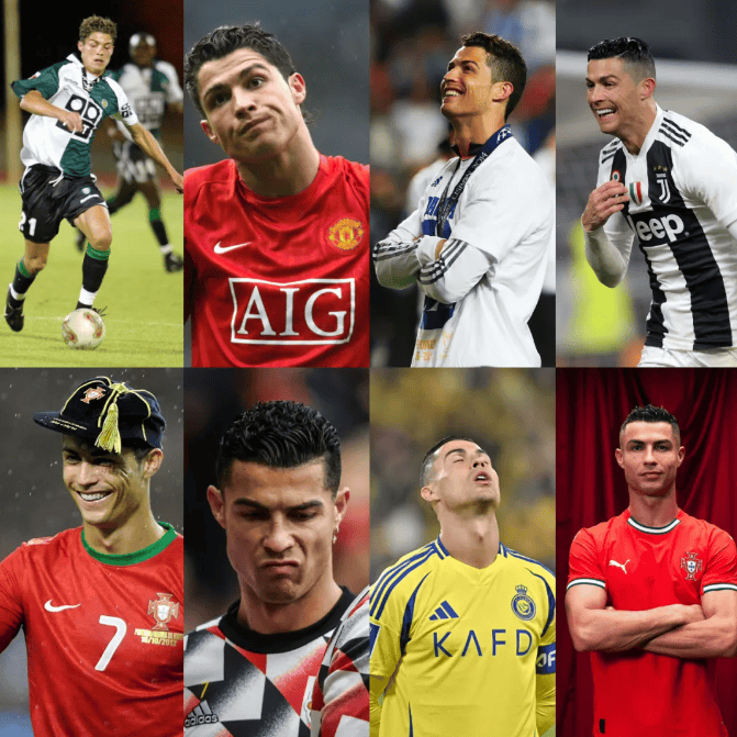 泽特尔已跻 泽特尔已跻