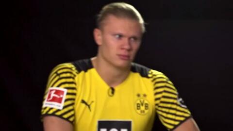 交织成一条 交织成一条